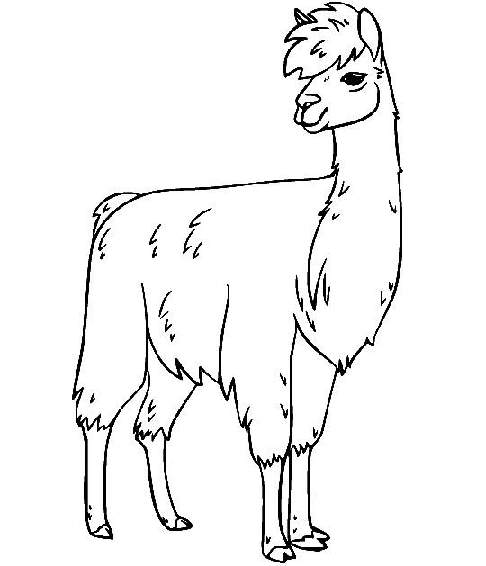 Einfaches realistisches Lama von Llama