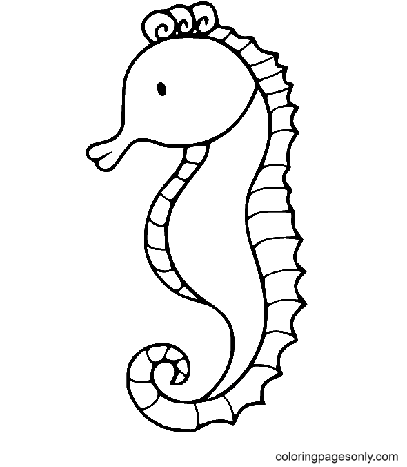 Hippocampe simple de Seahorse