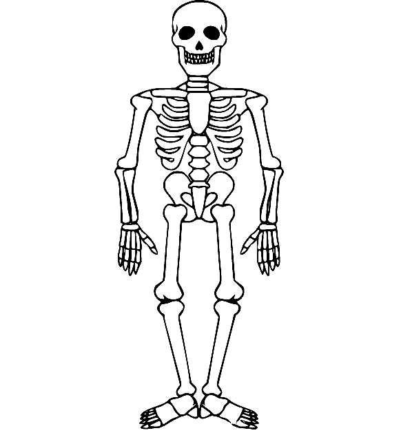 Eenvoudige kleurplaat skelet