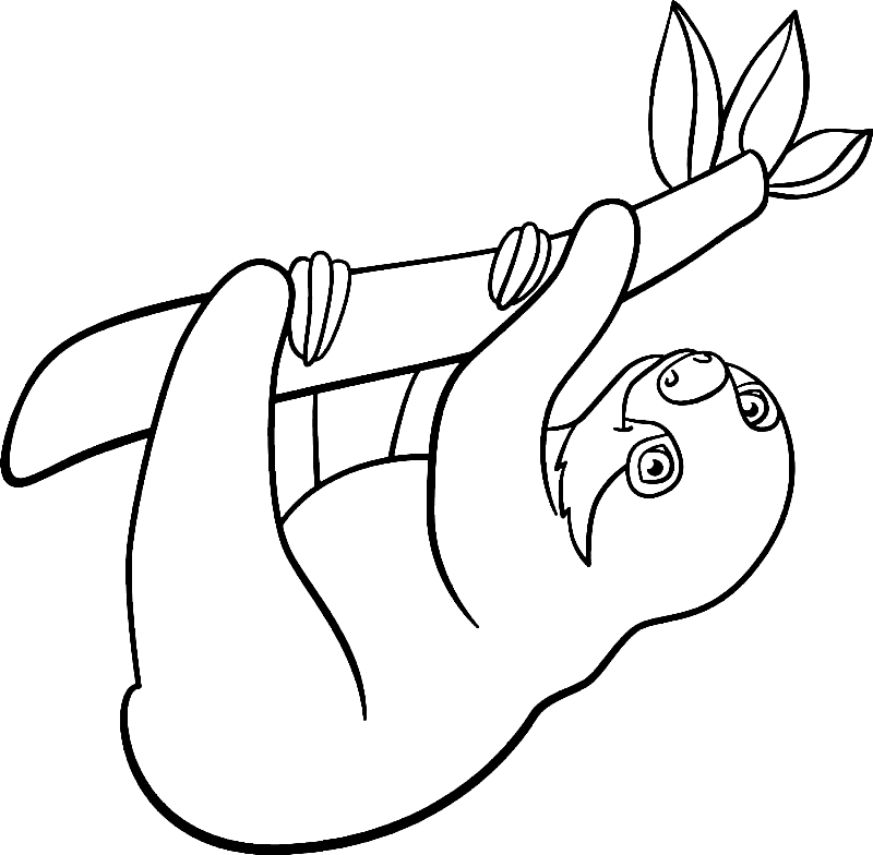 Simple Sloth on the Tree Coloring Page