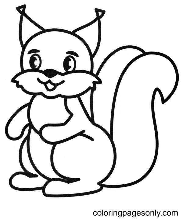 Simple Squirrel Coloring Page