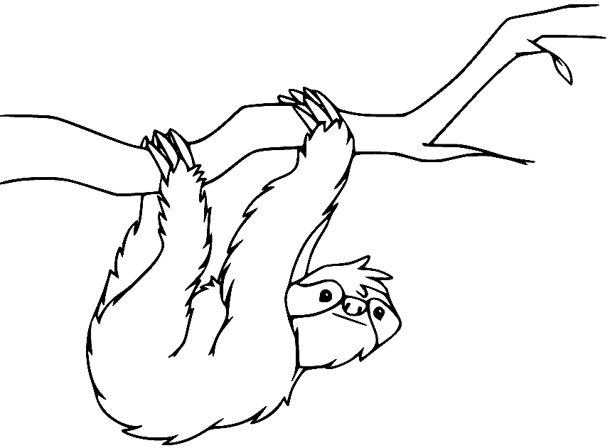 Simple Three toed Sloth Coloring Page