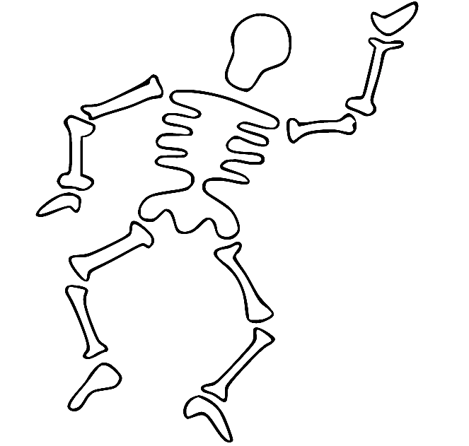 Schema di scheletro da colorare