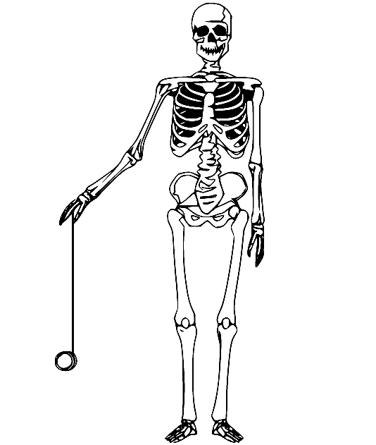 Skelet speelt jojo van Skeleton