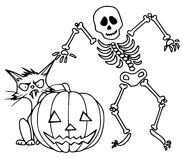 Skeleton with a Cat and a Pumpkin Coloring Page