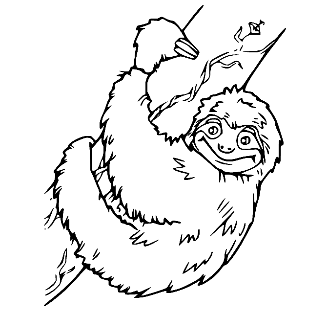 Paresseux grimpant à un arbre de Sloth