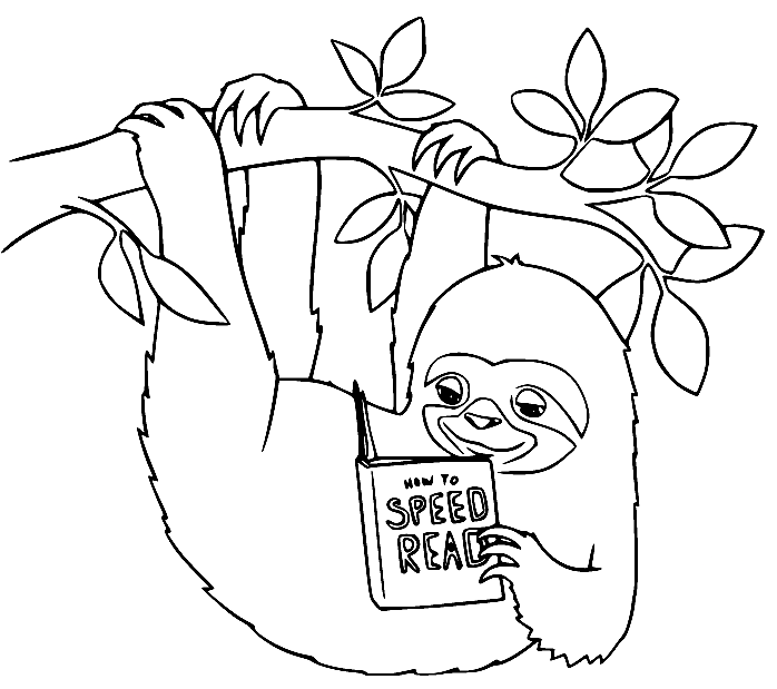 Sloth Reading a Book Coloring Page