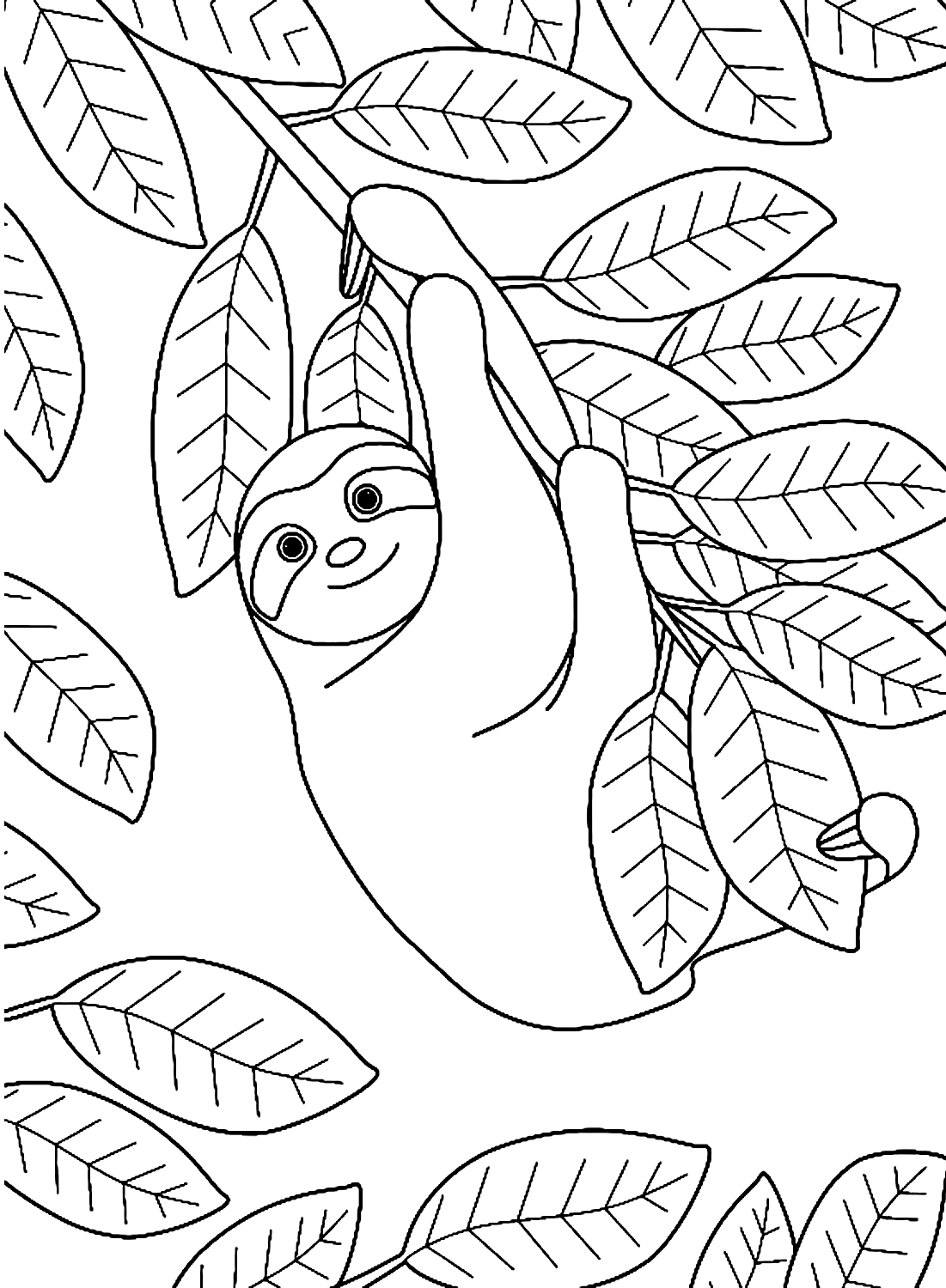 Sloth with Leaves Coloring Pages