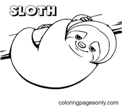 Sloth Coloring Pages