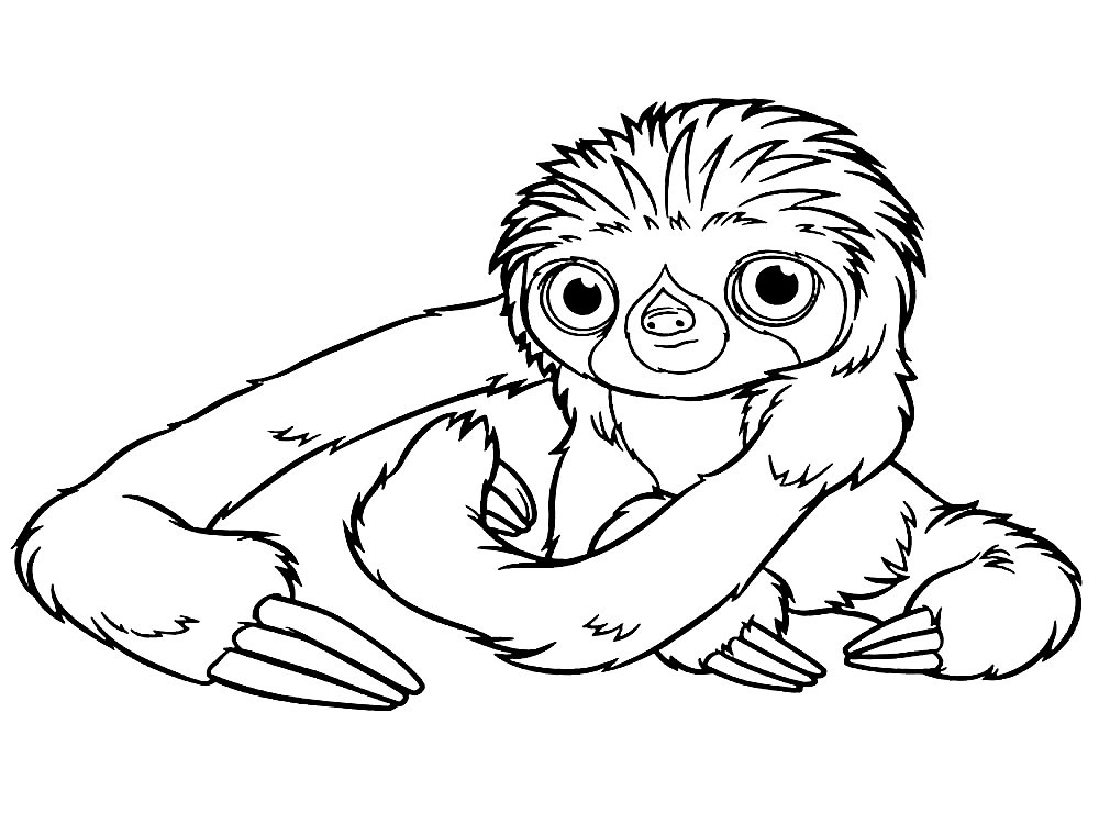 Sloth with Kind Eyes Coloring Page