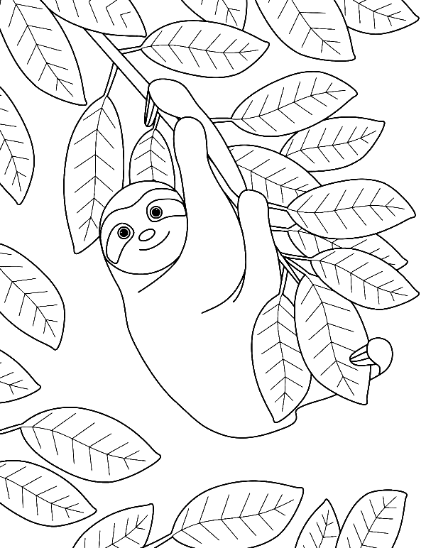 Ленивец с листьями от ленивца