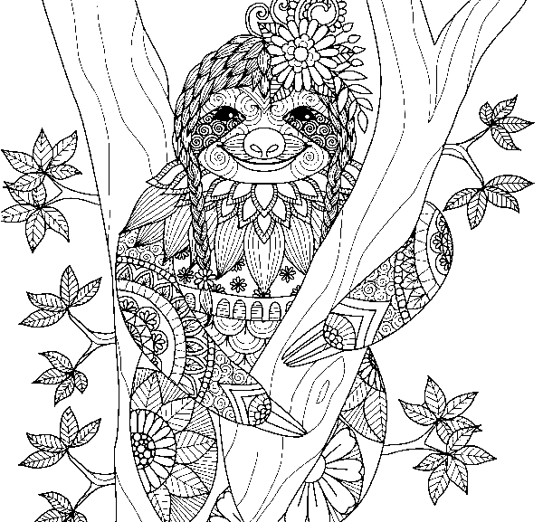 Ленивец с косичками от Sloth