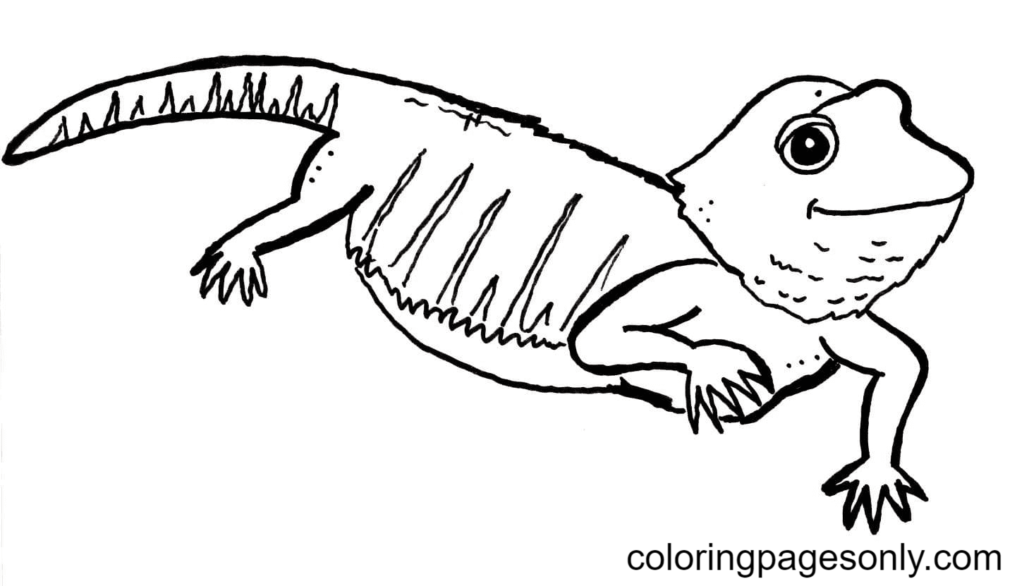 Smiling Lizard Coloring Page
