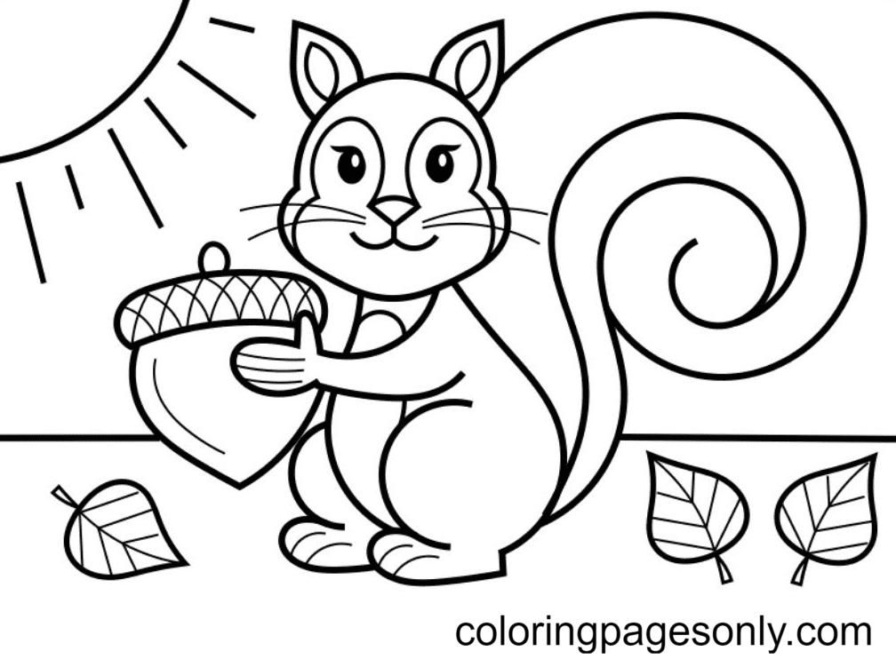 Squirrel Holding Acorn Coloring Page
