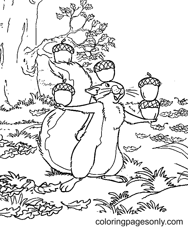 Squirrel Juggling with Nuts Coloring Page