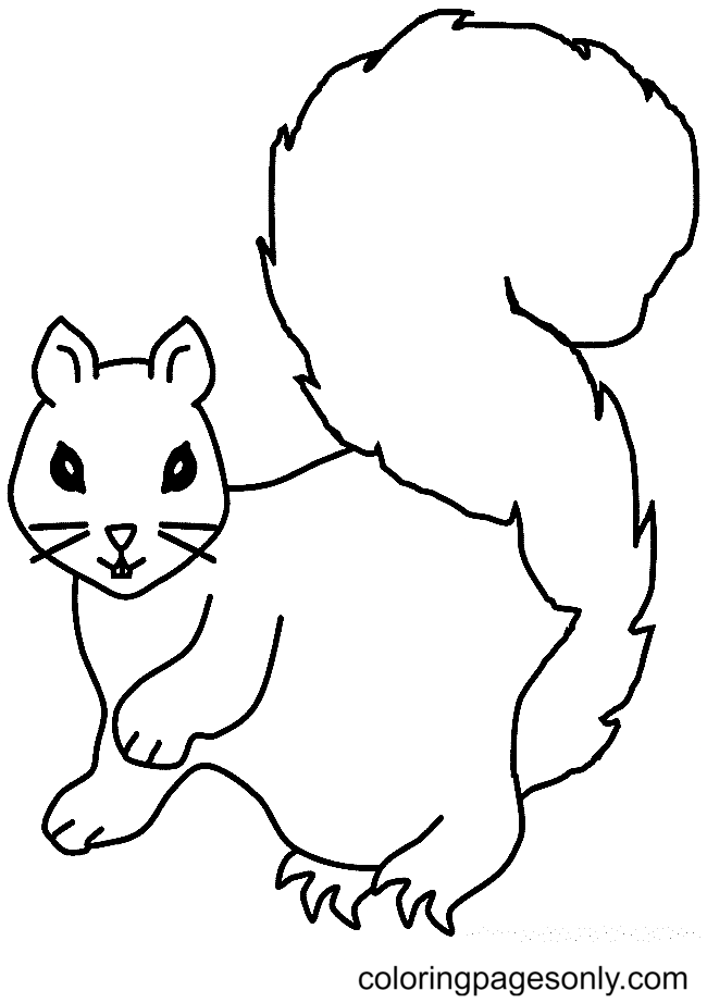 Squirrel To Print Coloring Page