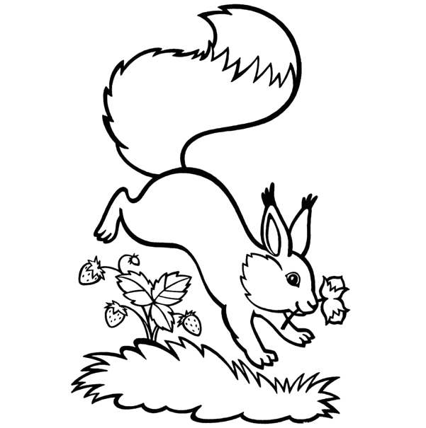 Squirrel with Strawberry Tree Coloring Pages