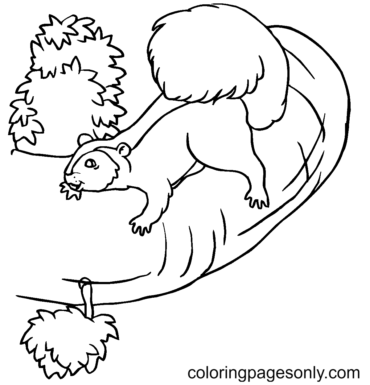 Squirrel on a Tree Coloring Page