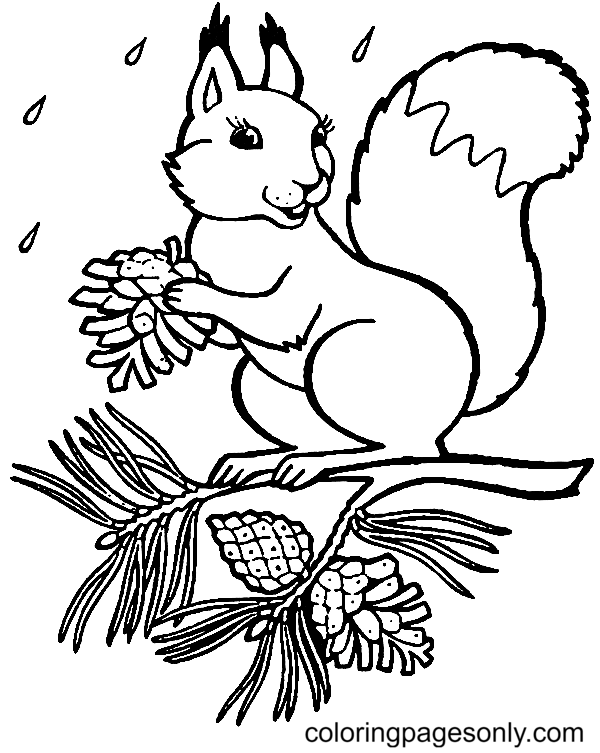 Ardilla en el árbol de Squirrel