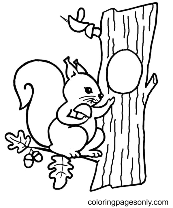 Squirrel put a Mushroom in Hole Coloring Page