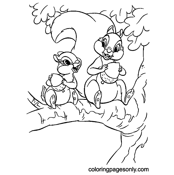 Squirrels eat Nuts Coloring Pages