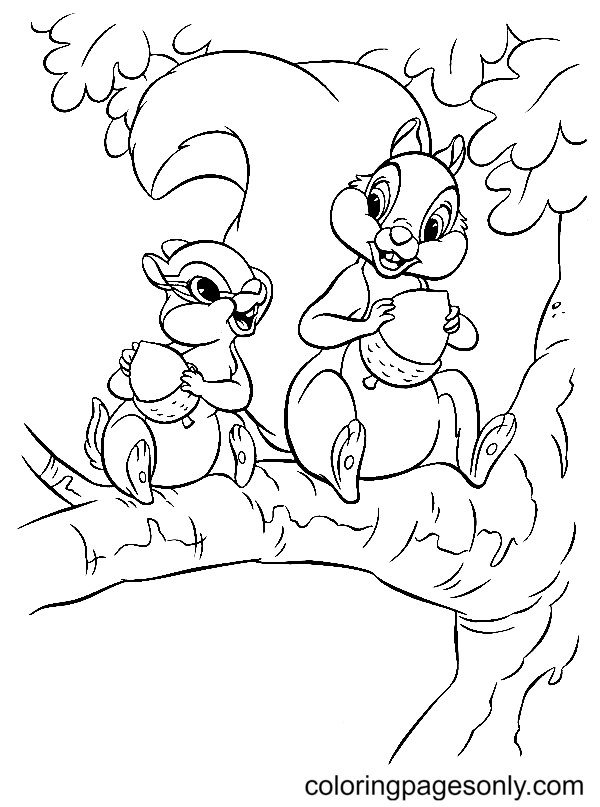 Squirrels eat Nuts Coloring Page