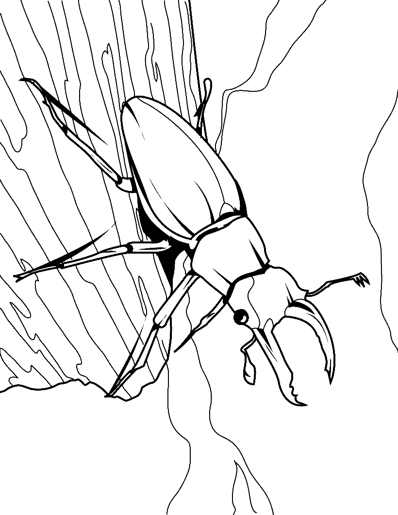 Stag Beetle on a Tree Coloring Page