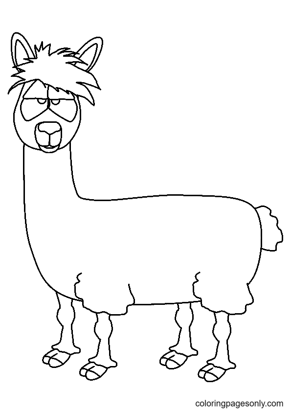 来自 Llama 的愚蠢 Llama