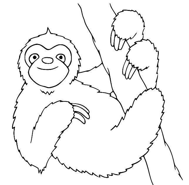 Dreizehenfaultier auf dem Baum von Sloth