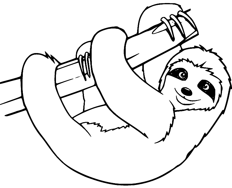 Three toed Sloth Coloring Page