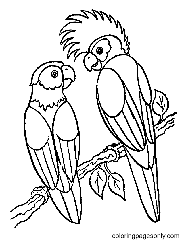 Two Cute Parrots Coloring Page