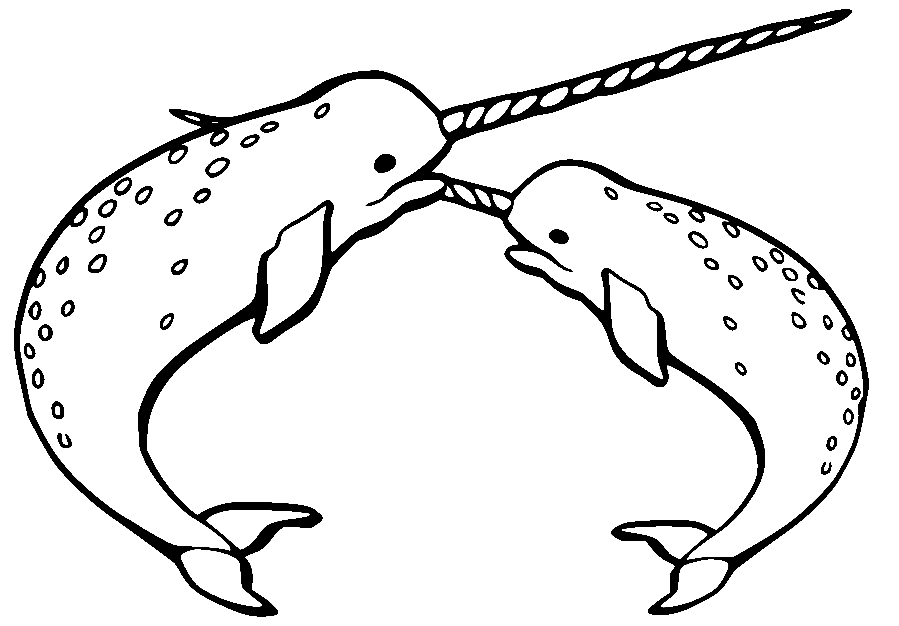 Two Narwhals Fighting Coloring Page