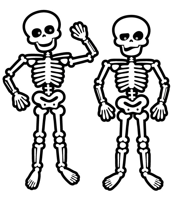 Zwei Skelette von Skeleton