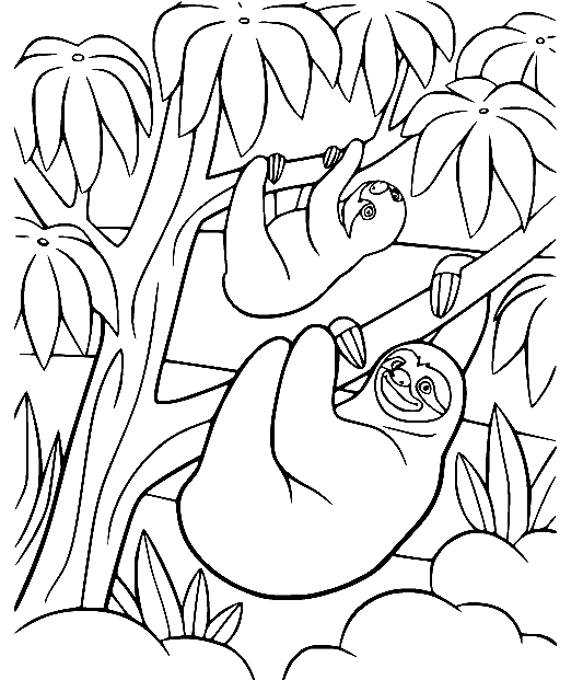 Two Sloths Coloring Page