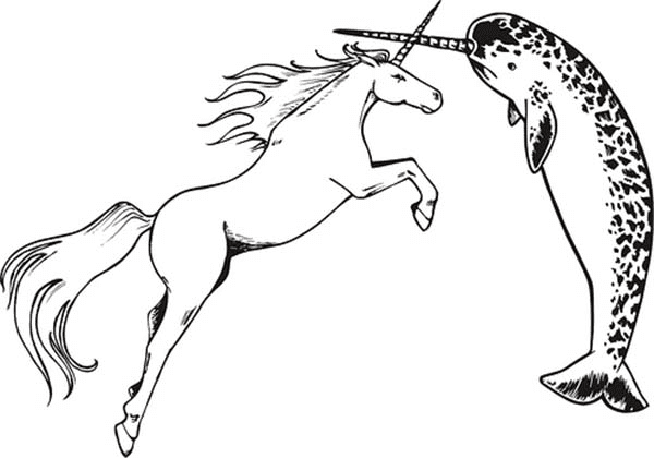 Unicorn and Narwhal Coloring Page