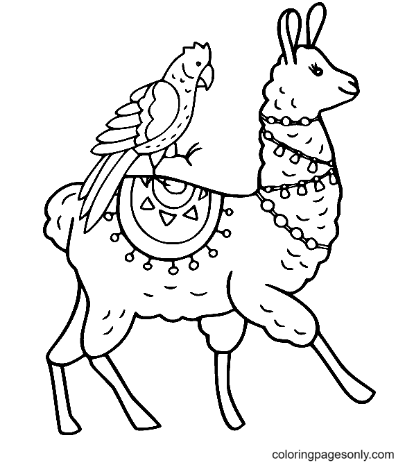 Walking Llama with a Parrot on Its Back Coloring Pages