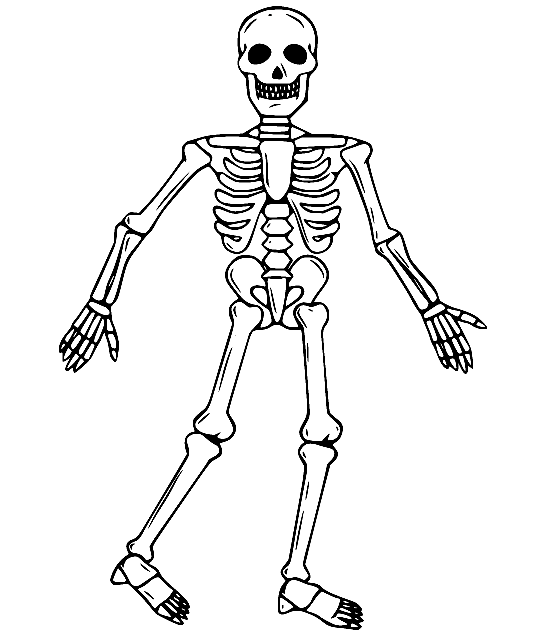 Esqueleto andante de Skeleton