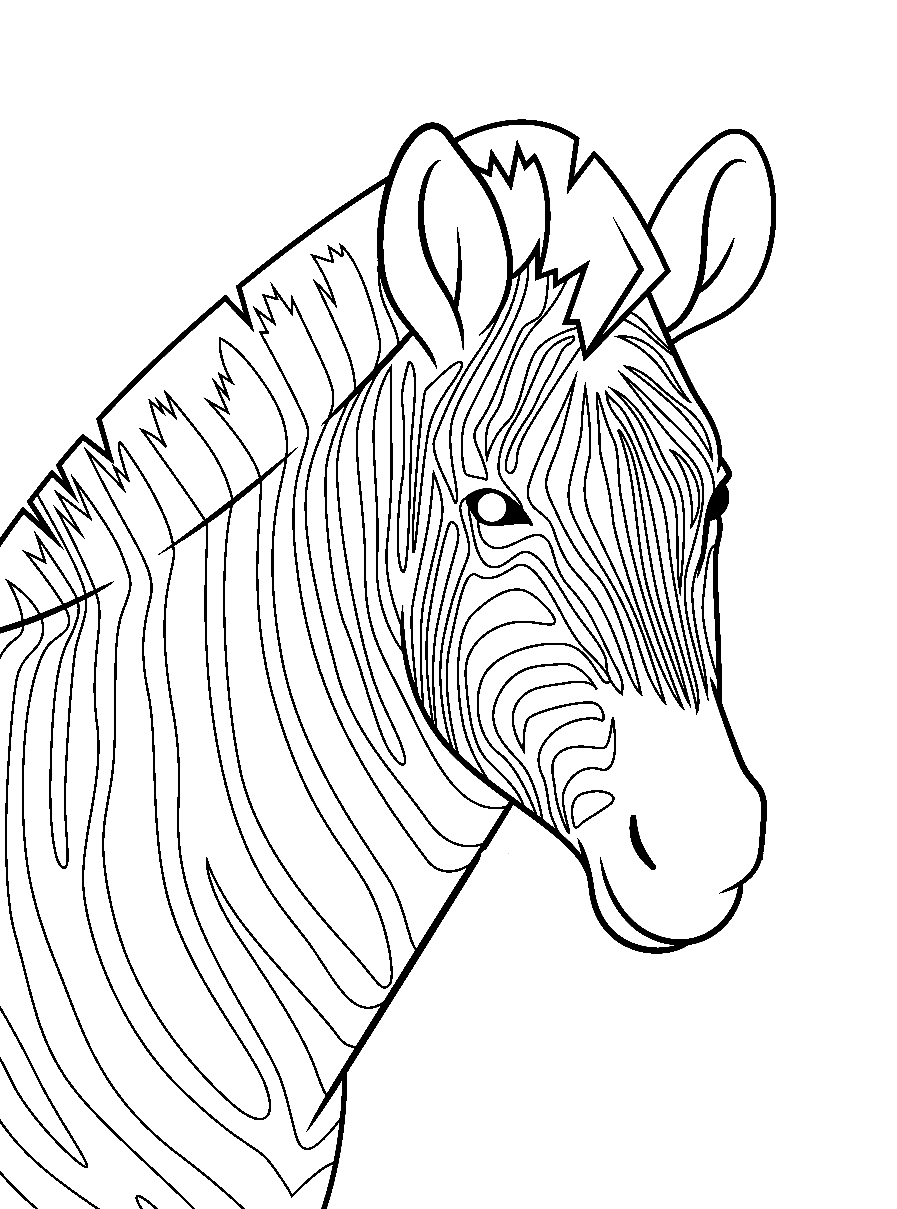 Zebra Animal Coloring Pages