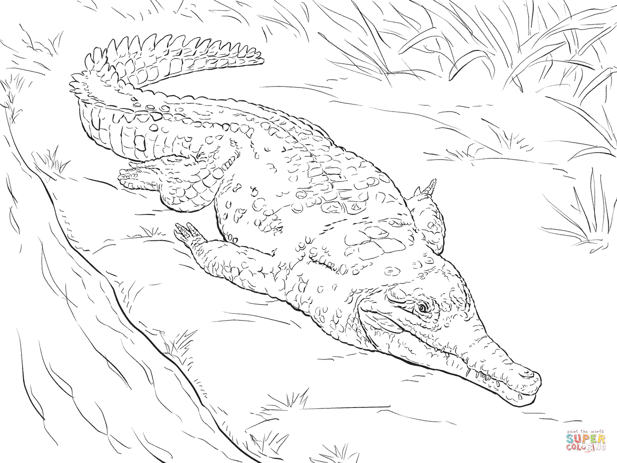Orinoco Krokodil van Realistisch dier