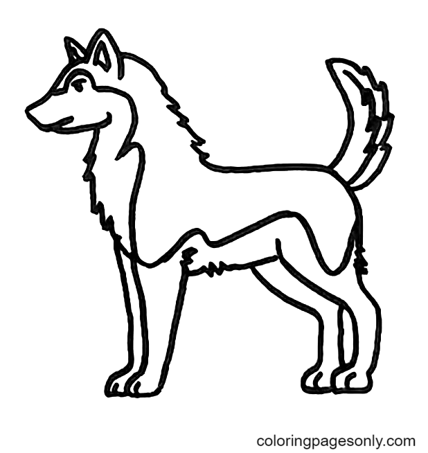 A Husky Coloring Page