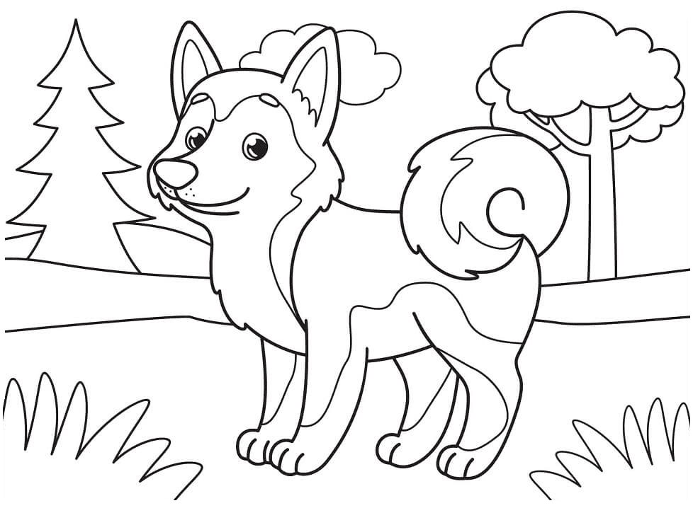 Adorable Husky Coloring Pages