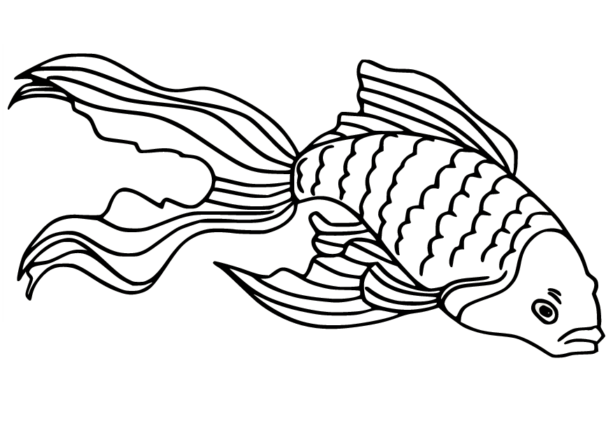Angry Goldfish Coloring Page