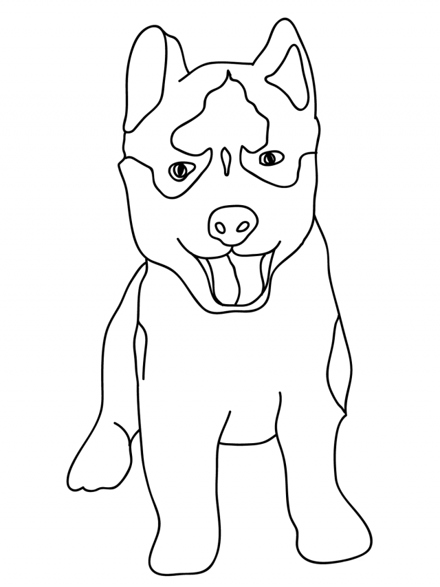 Baby Husky Coloring Page