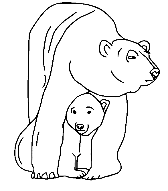 Baby Polar Bear Hiding Under Moms Tummy Coloring Page