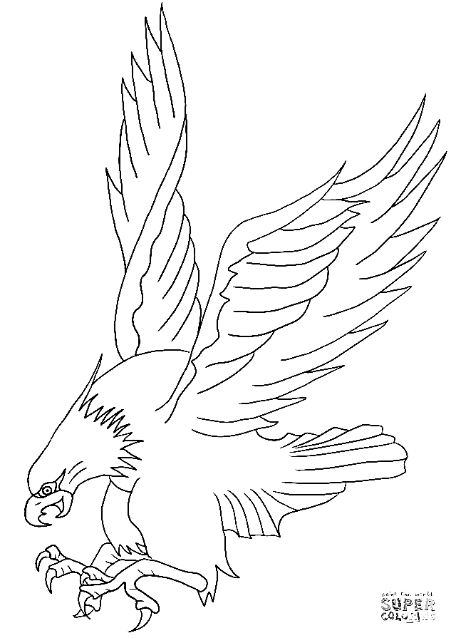 Weißkopfseeadler greift von Eagle aus an