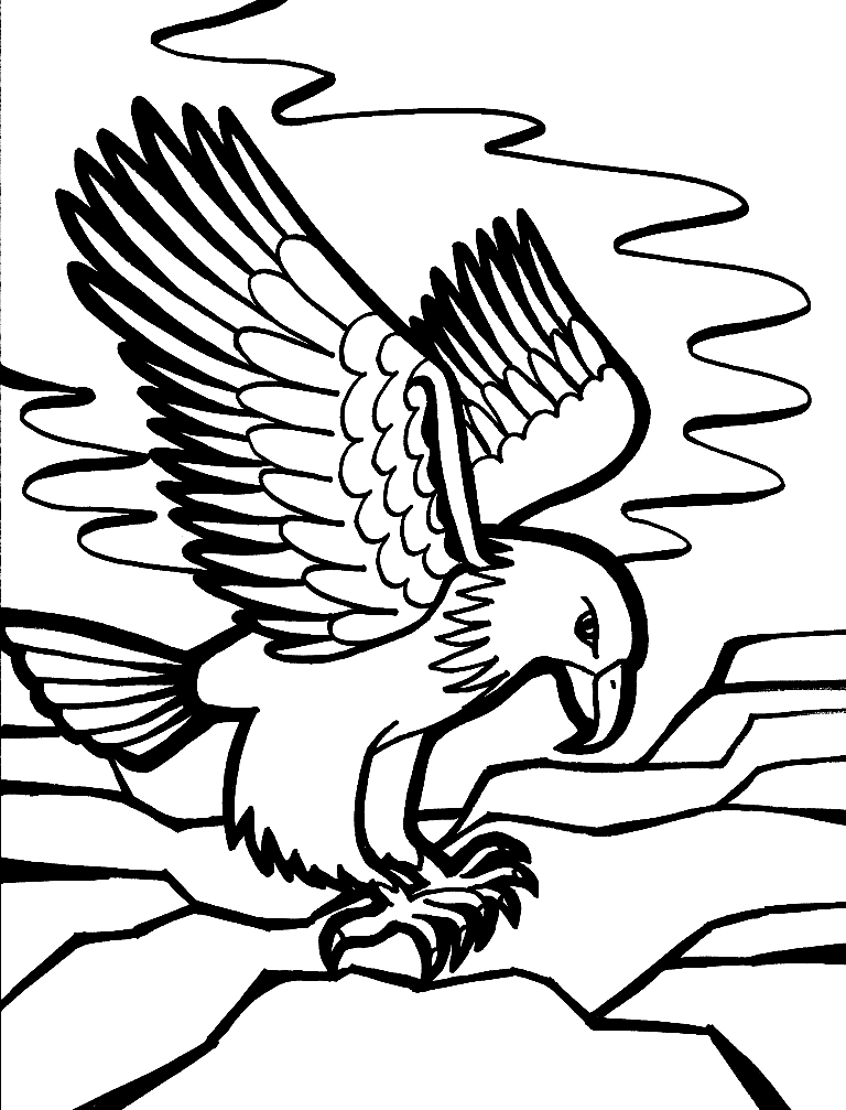 Bald Eagle Printable Coloring Page