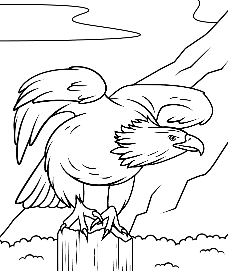 Aquila calva in piedi sul tronco dell'Aquila