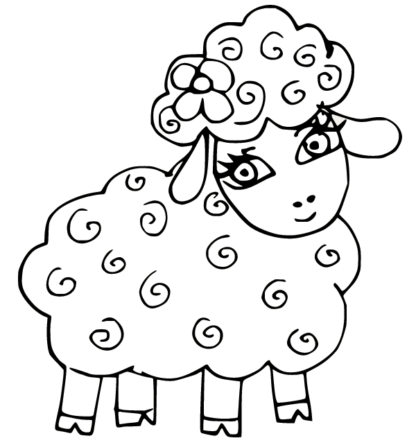 Belle pecore da pecora