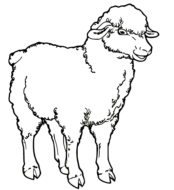 Große realistische Schafe von Schafen