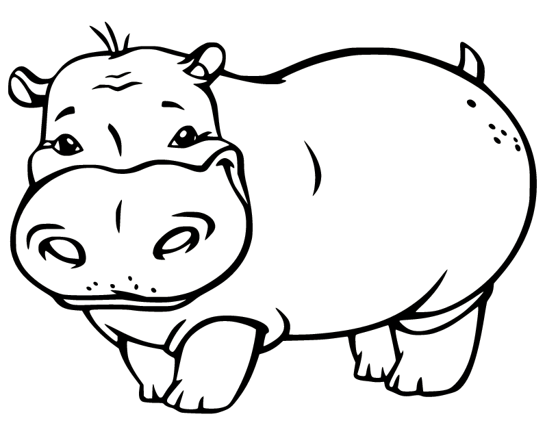 Cartoon Fat Hippo Coloring Page